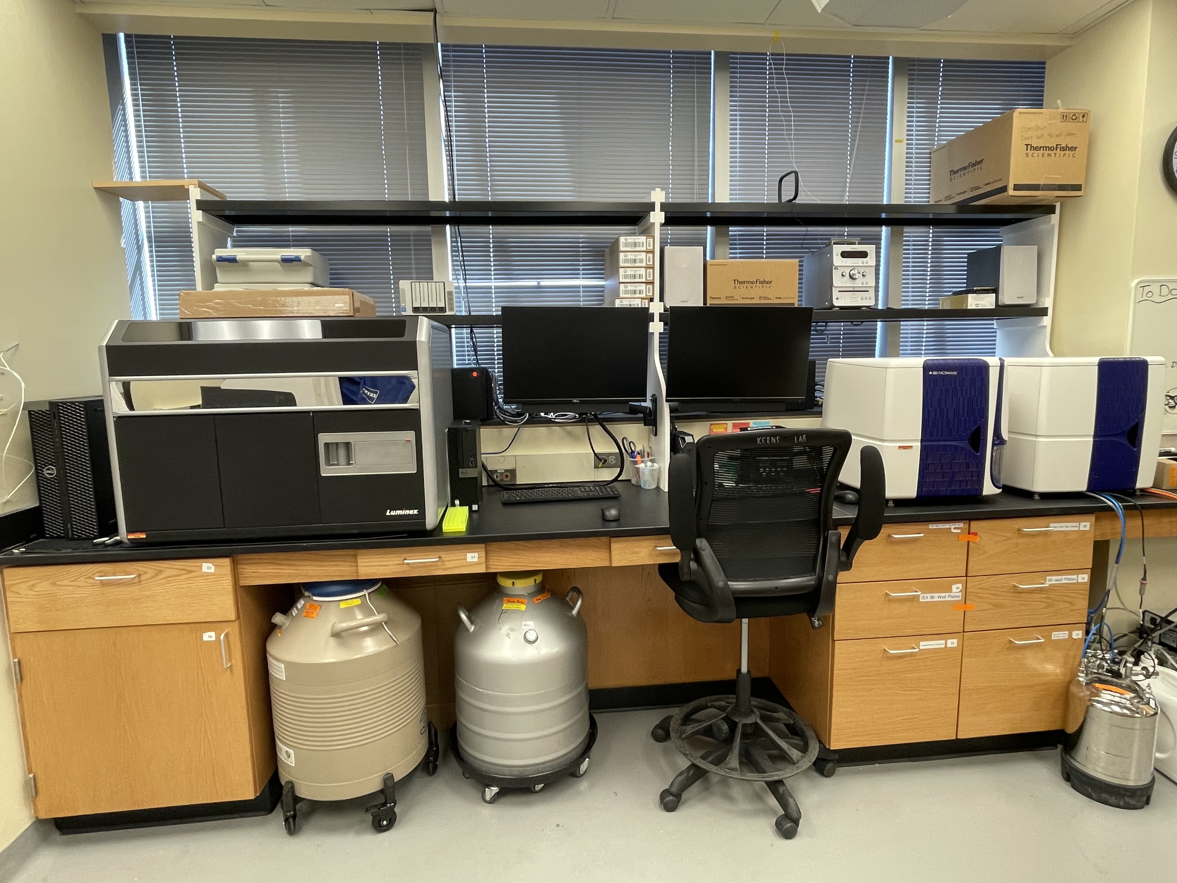 BD FACSMelody flow cytometer in the Kerns Lab