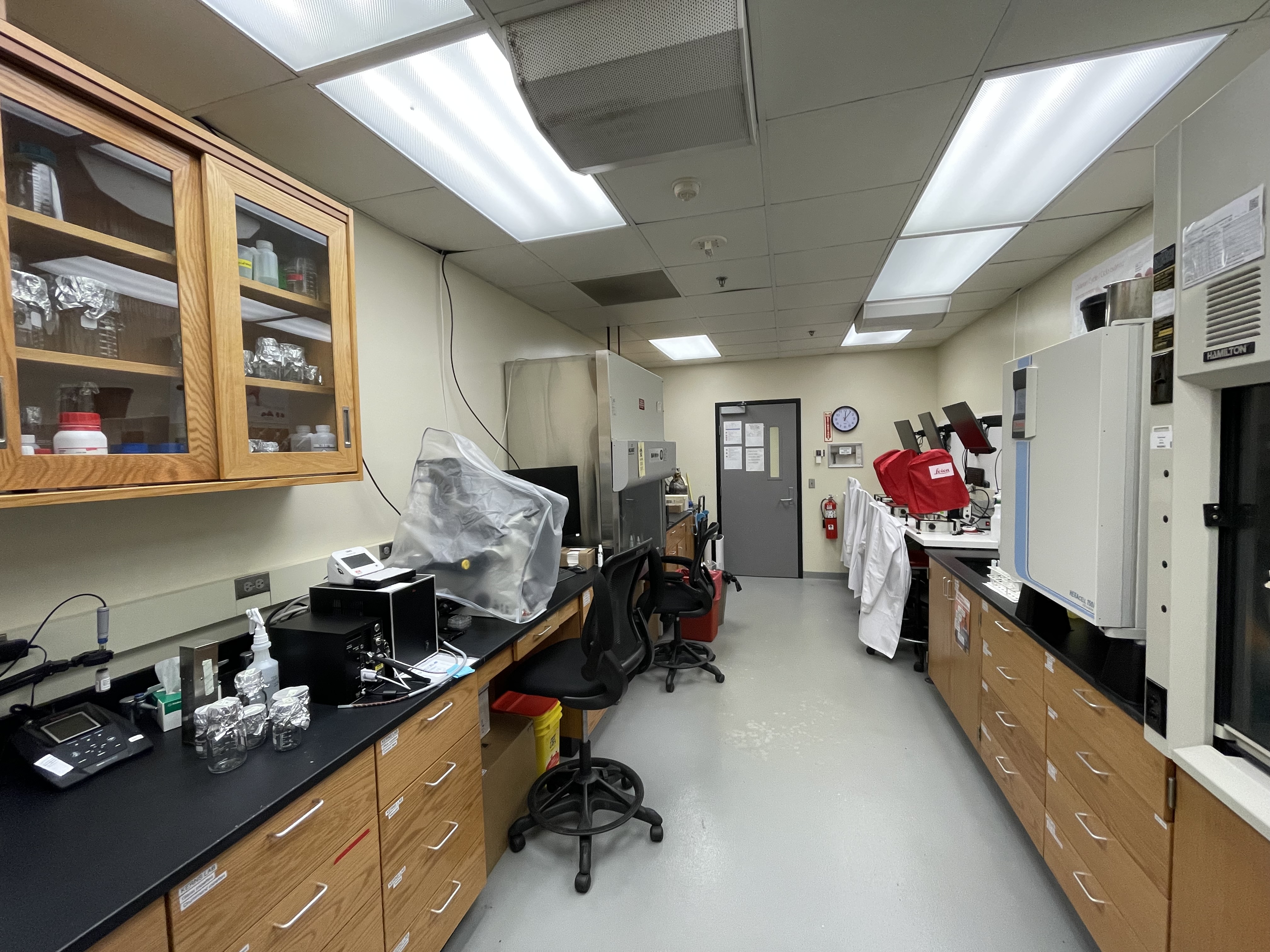 Kerns Lab in vitro fertilization laboratory at Iowa State