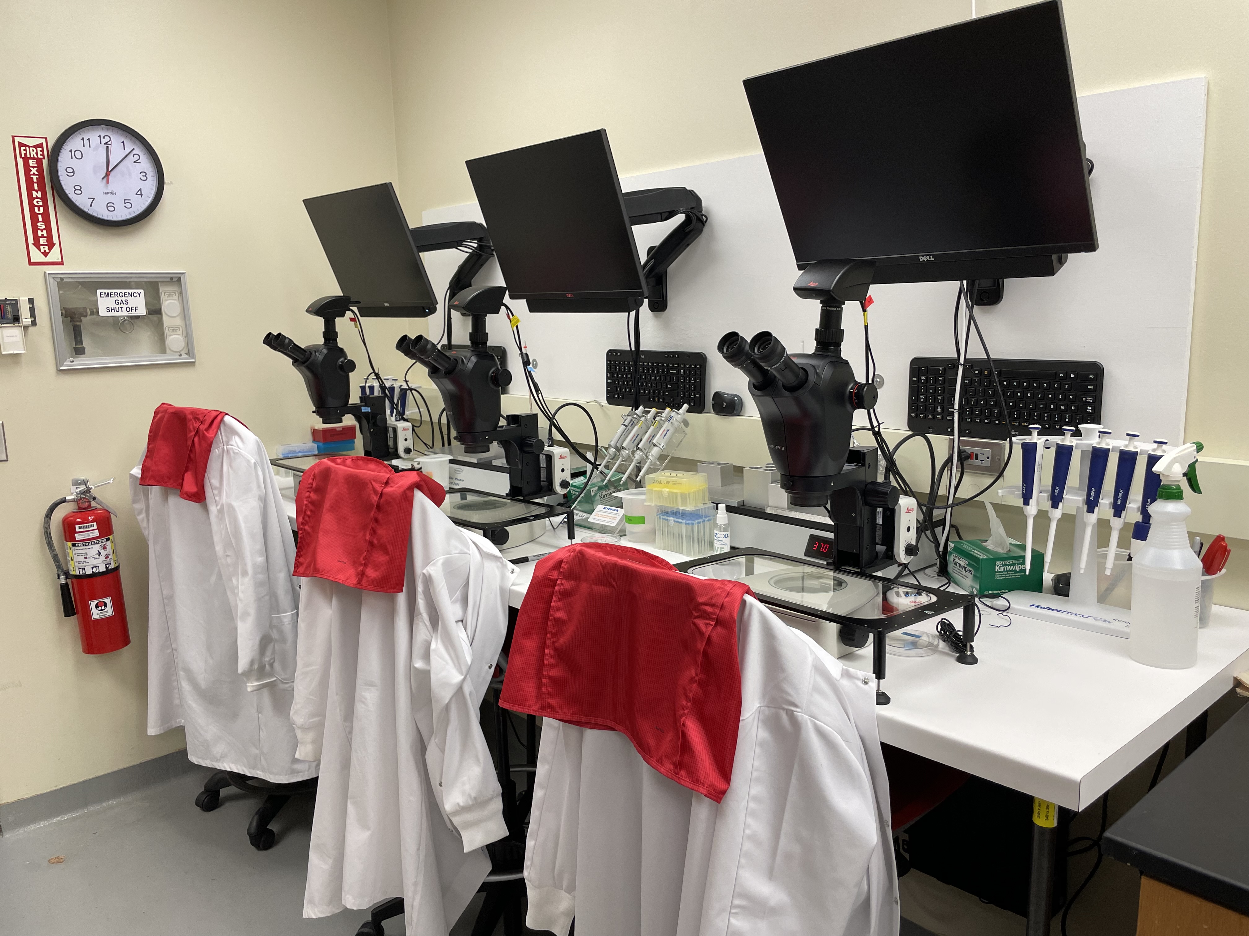 Leica stereo microscopes with heated stages and cameras